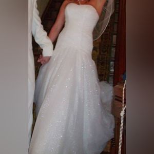 David's Bridal Wedding Ballgown (6)
